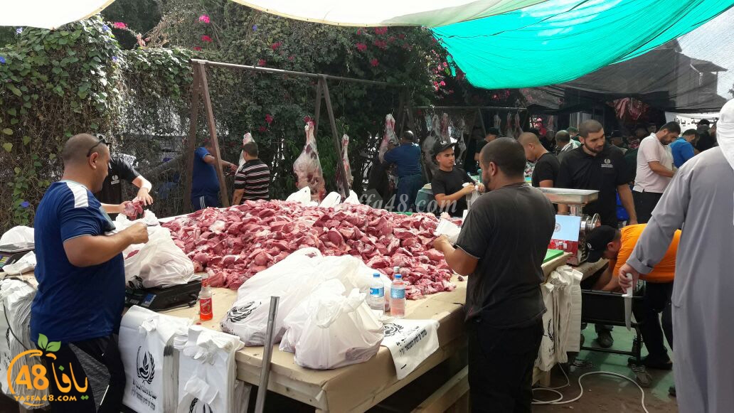 jam3o7sayasa (1).jpg